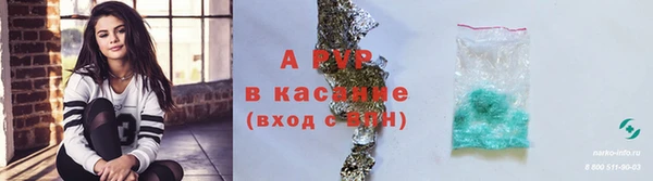 apvp Медногорск
