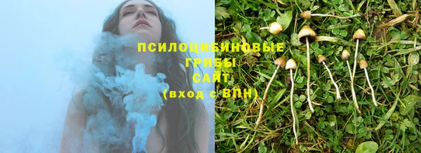 дживик Медвежьегорск