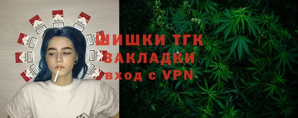 apvp Медногорск