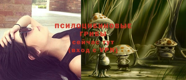 дурь Михайловка