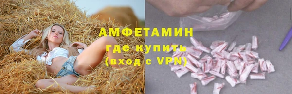 стафф Михайловск
