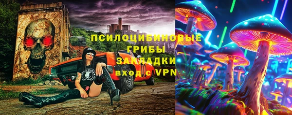 дживик Медвежьегорск