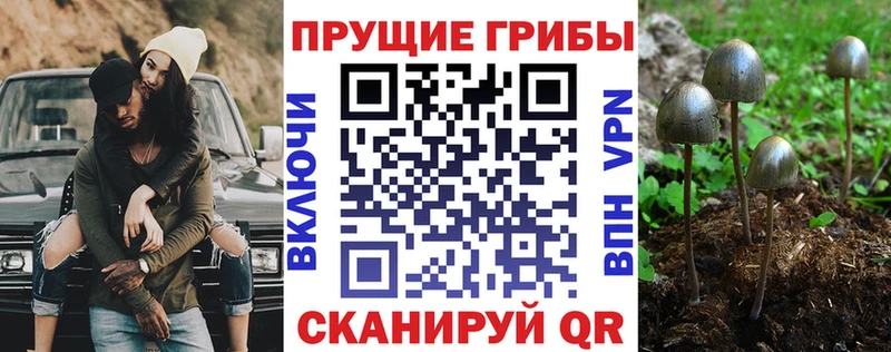 Псилоцибиновые грибы GOLDEN TEACHER  хочу наркоту  Новосиль 