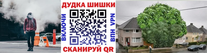 дарнет шоп  Новосиль  Каннабис конопля 